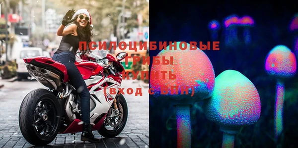 каннабис Алзамай