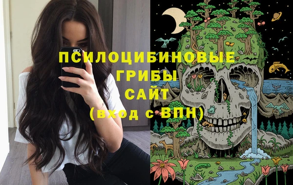 таблы Алексин